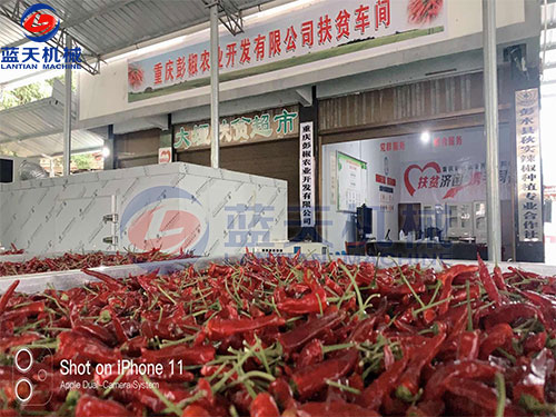 重慶辣椒烘干機客戶現場